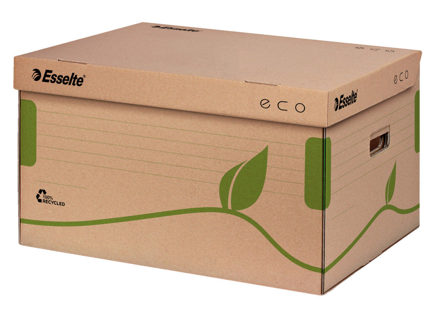 CONTAINER DE ARHIVARE ECO CU CAPAC PENTRU CUTII 80/100 ESSELTE CONTAINER DE ARHIVARE ECO CU CAPAC PENTRU CUTII 80/100 ESSELTE